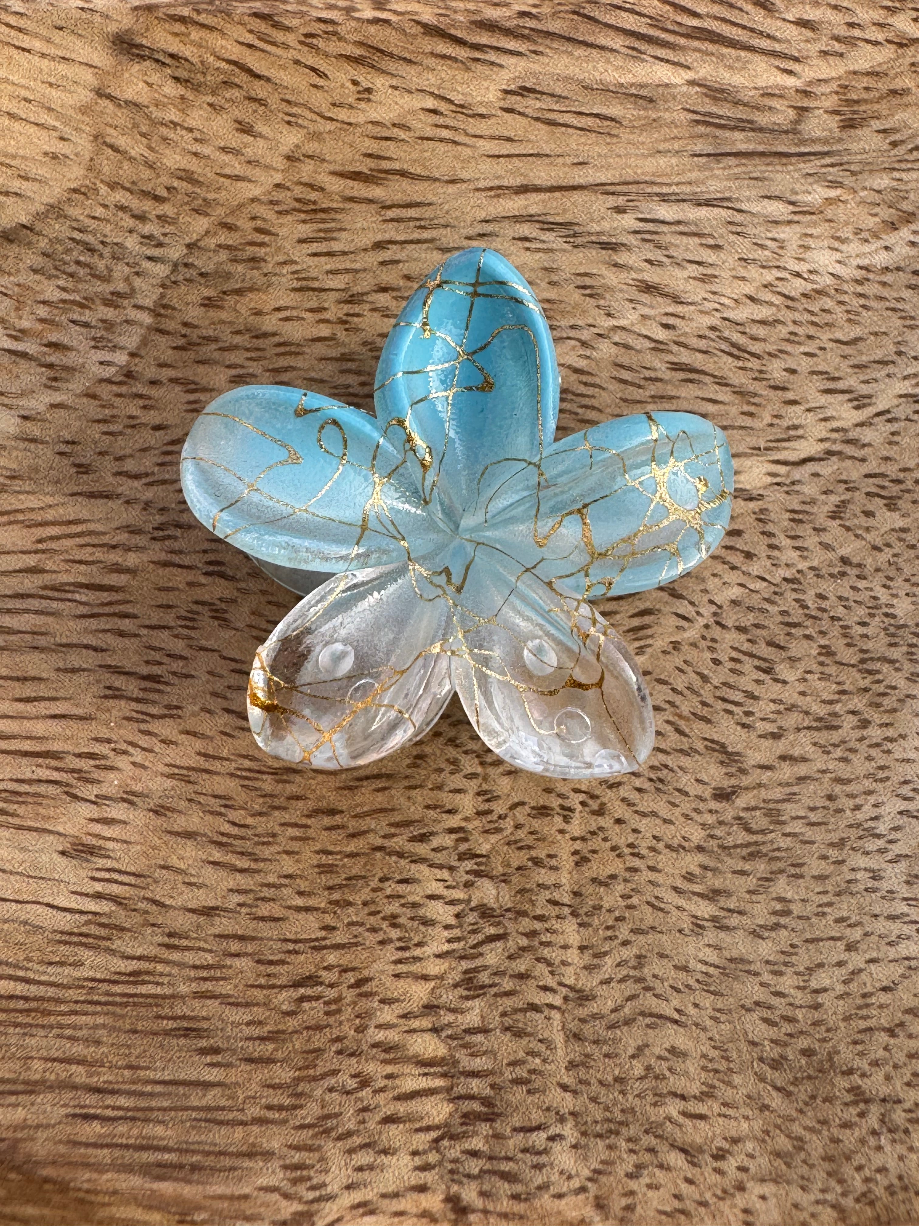 Pince à cheveux taille: (moyenne)