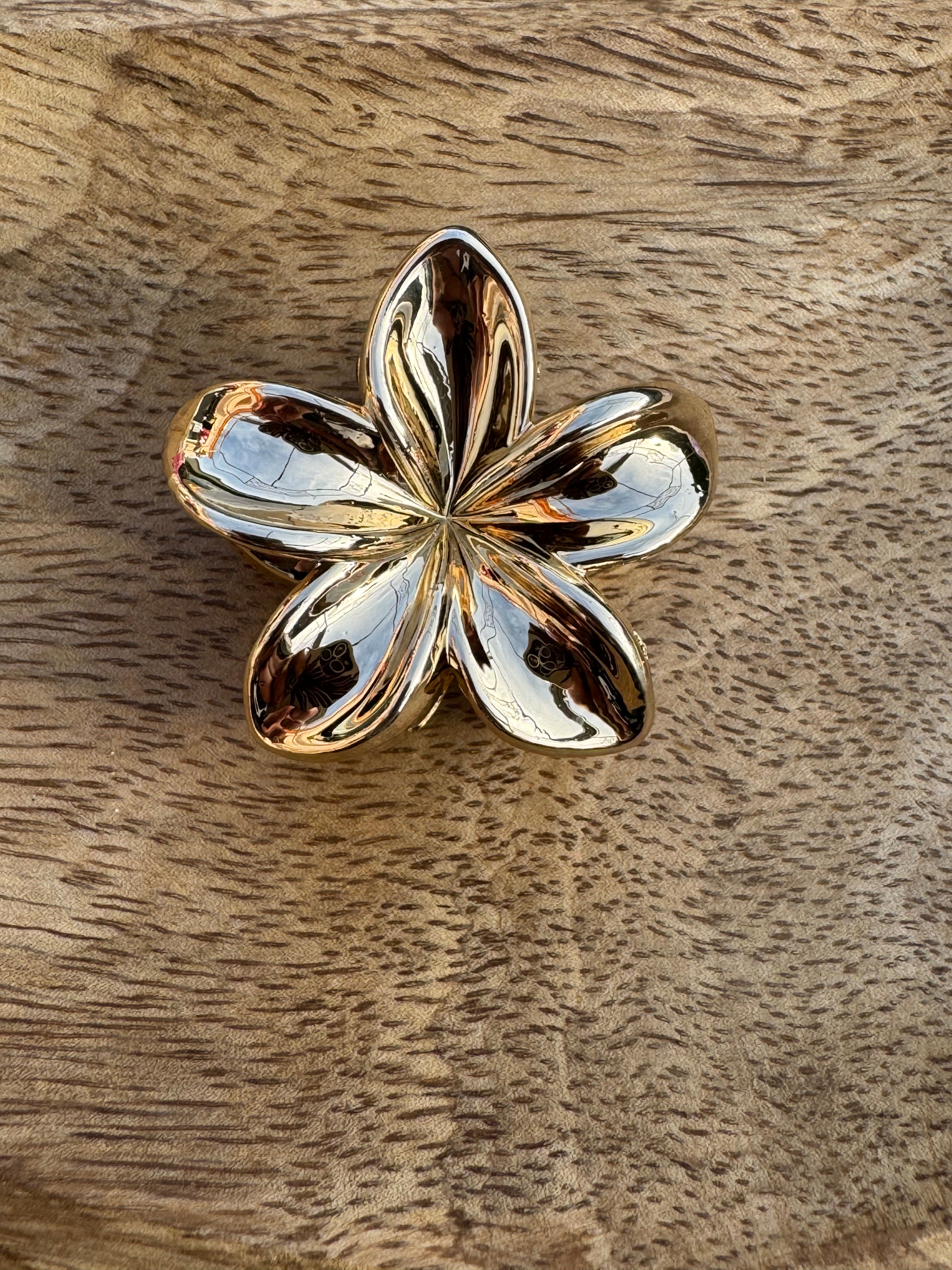 Pince à cheveux taille: (moyenne)