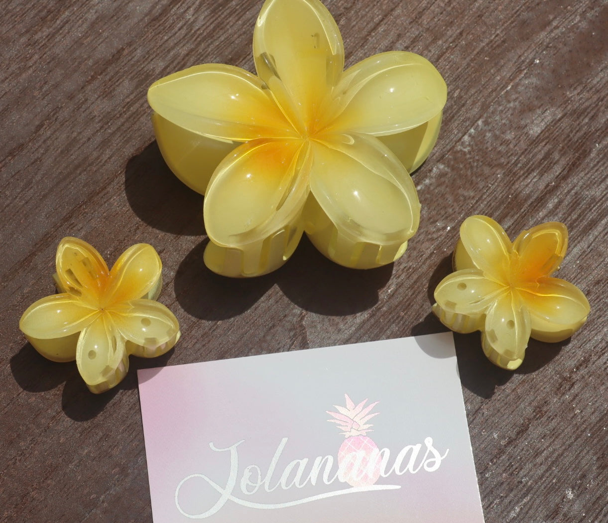 🌸 Trio de pinces fleurs