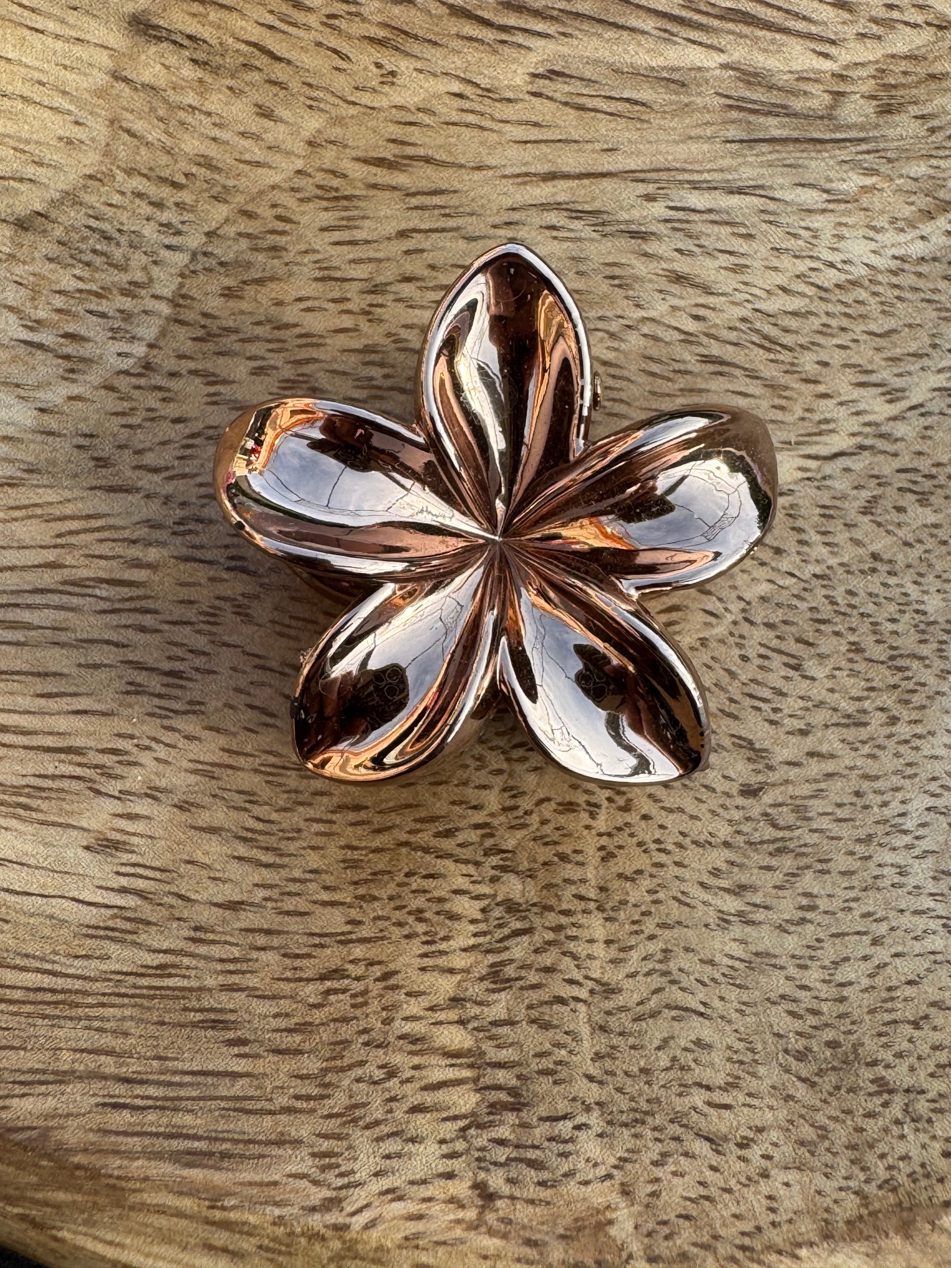 Pince à cheveux taille: (moyenne)