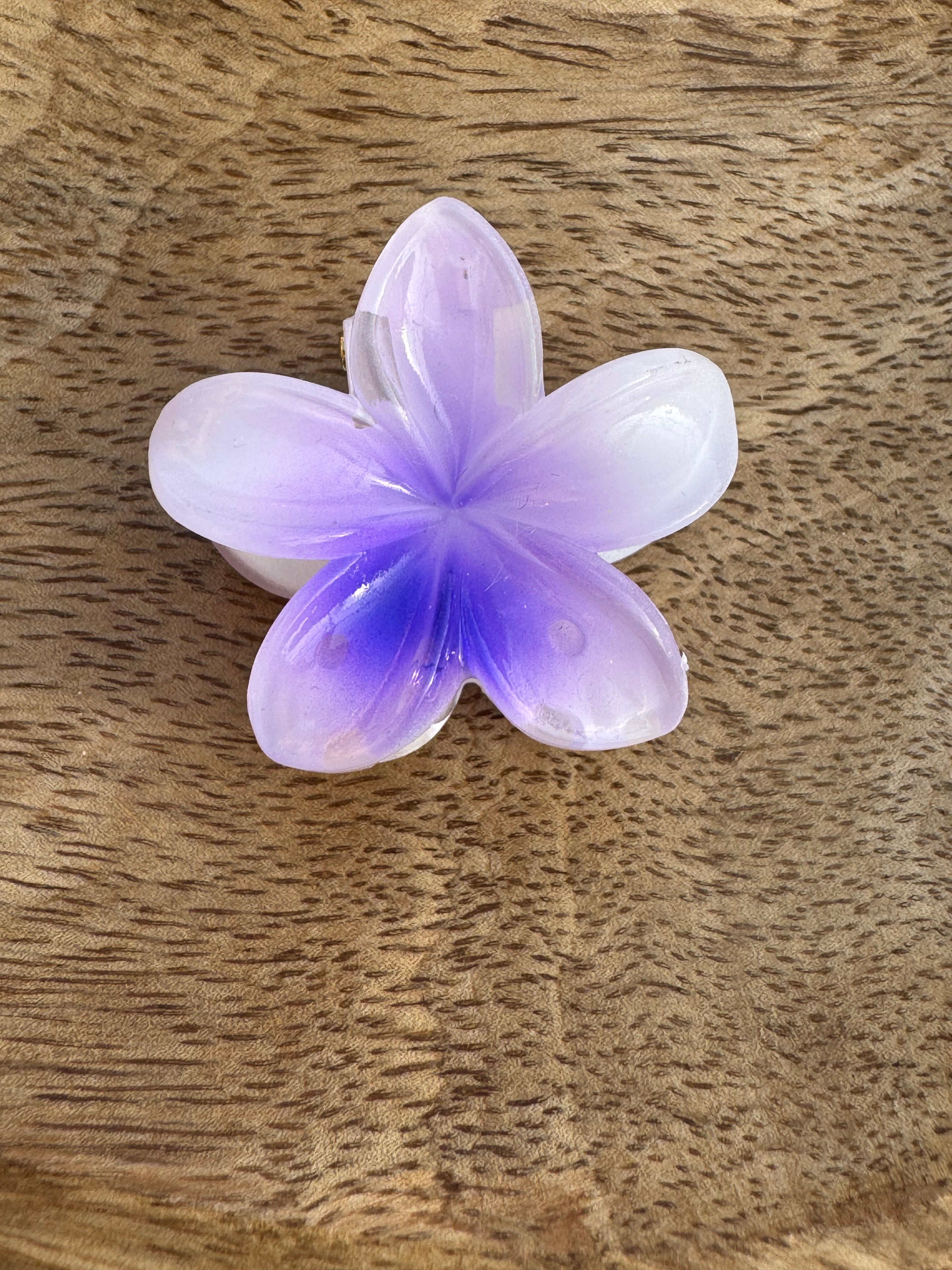 Pince à cheveux taille: (moyenne)