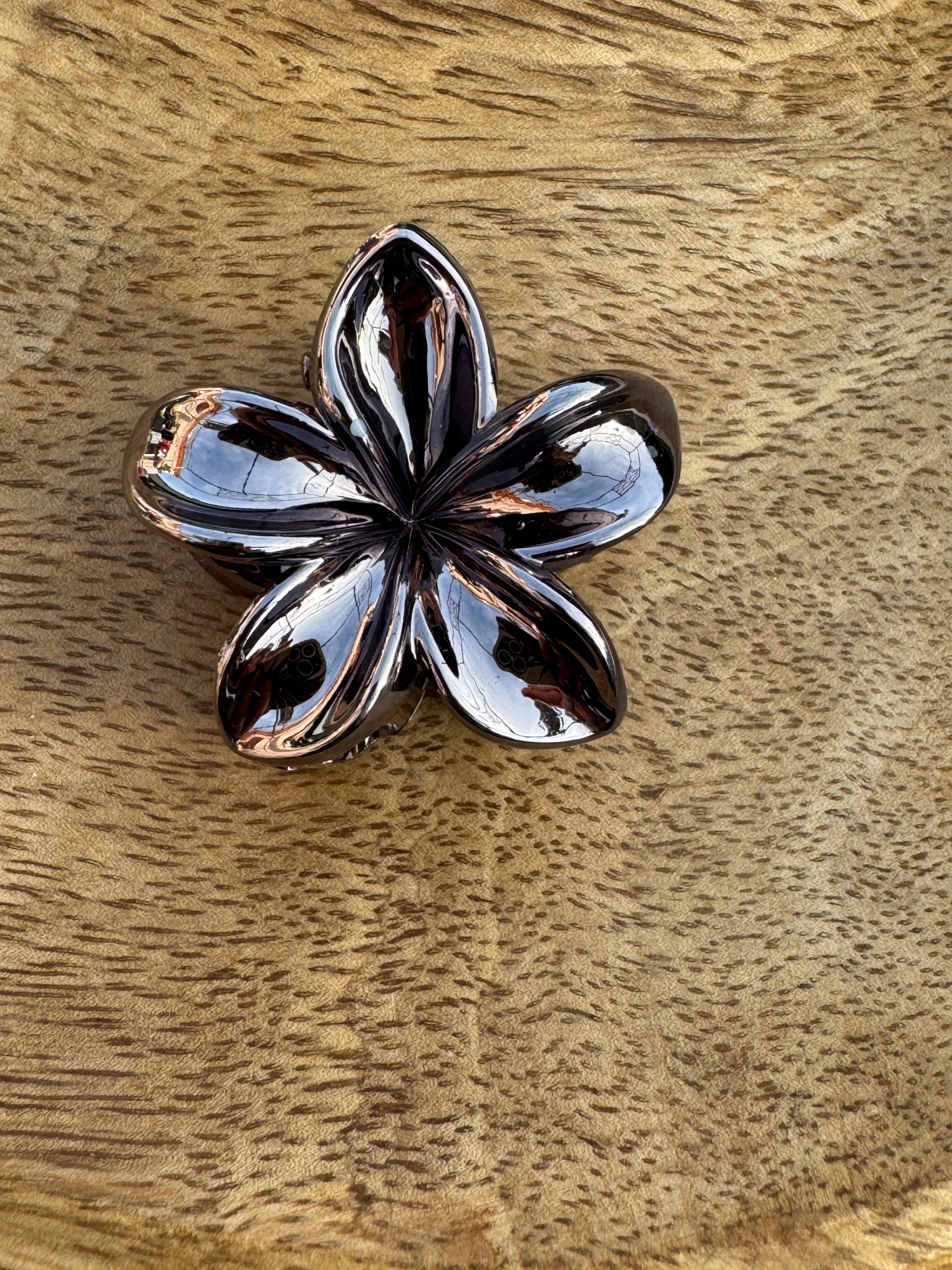 Pince à cheveux taille: (moyenne)