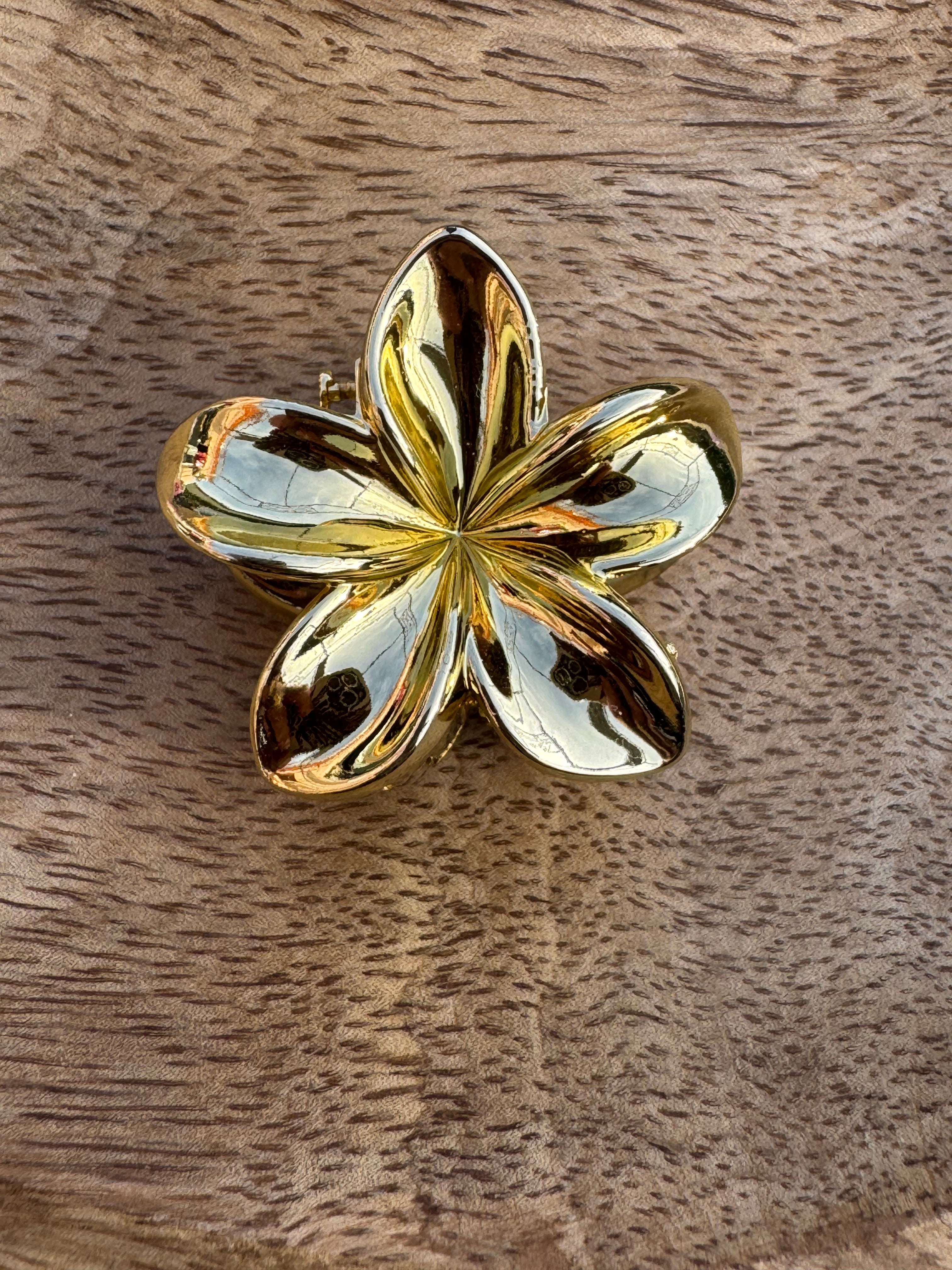 Pince à cheveux taille: (moyenne)