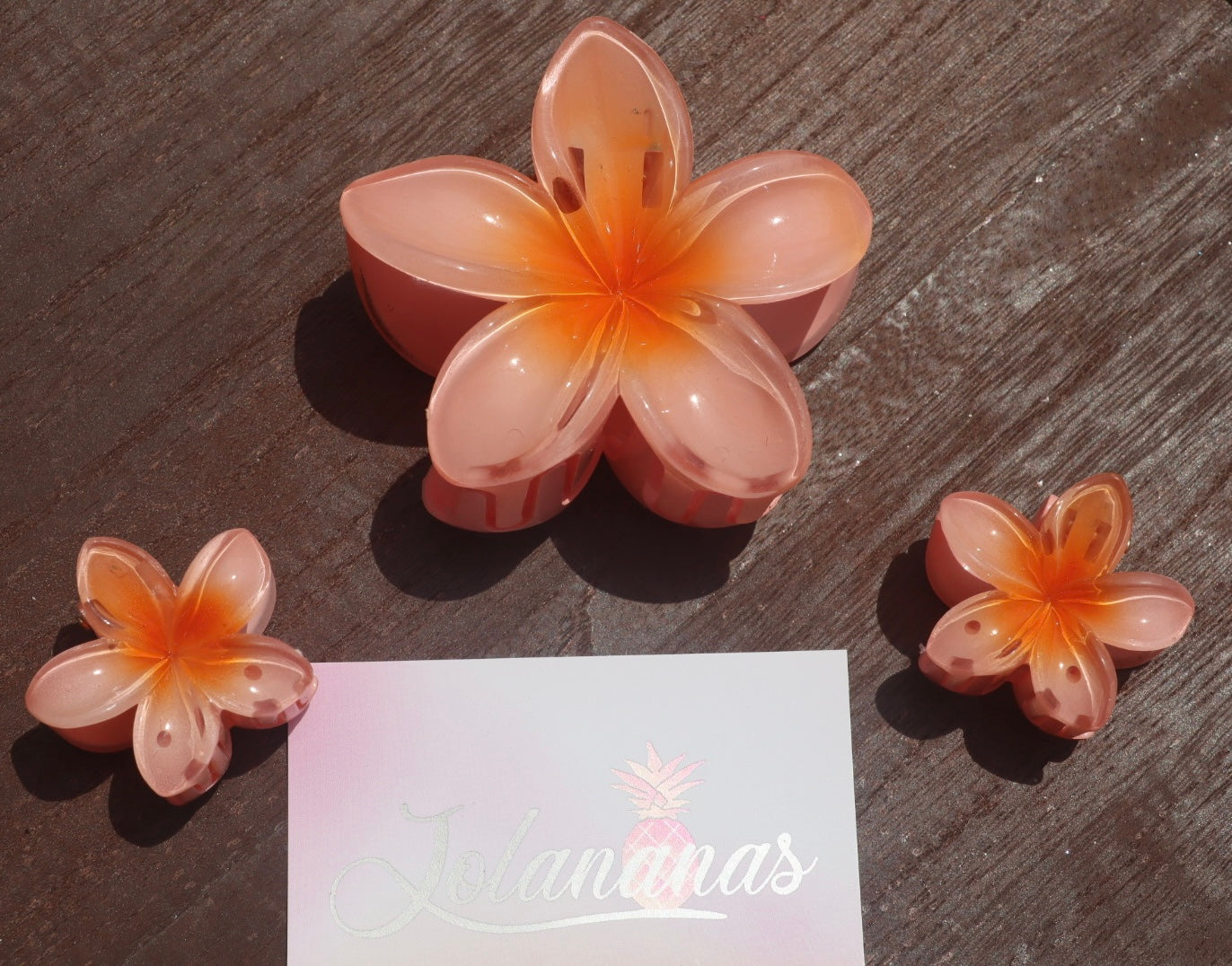 🌸 Trio de pinces fleurs