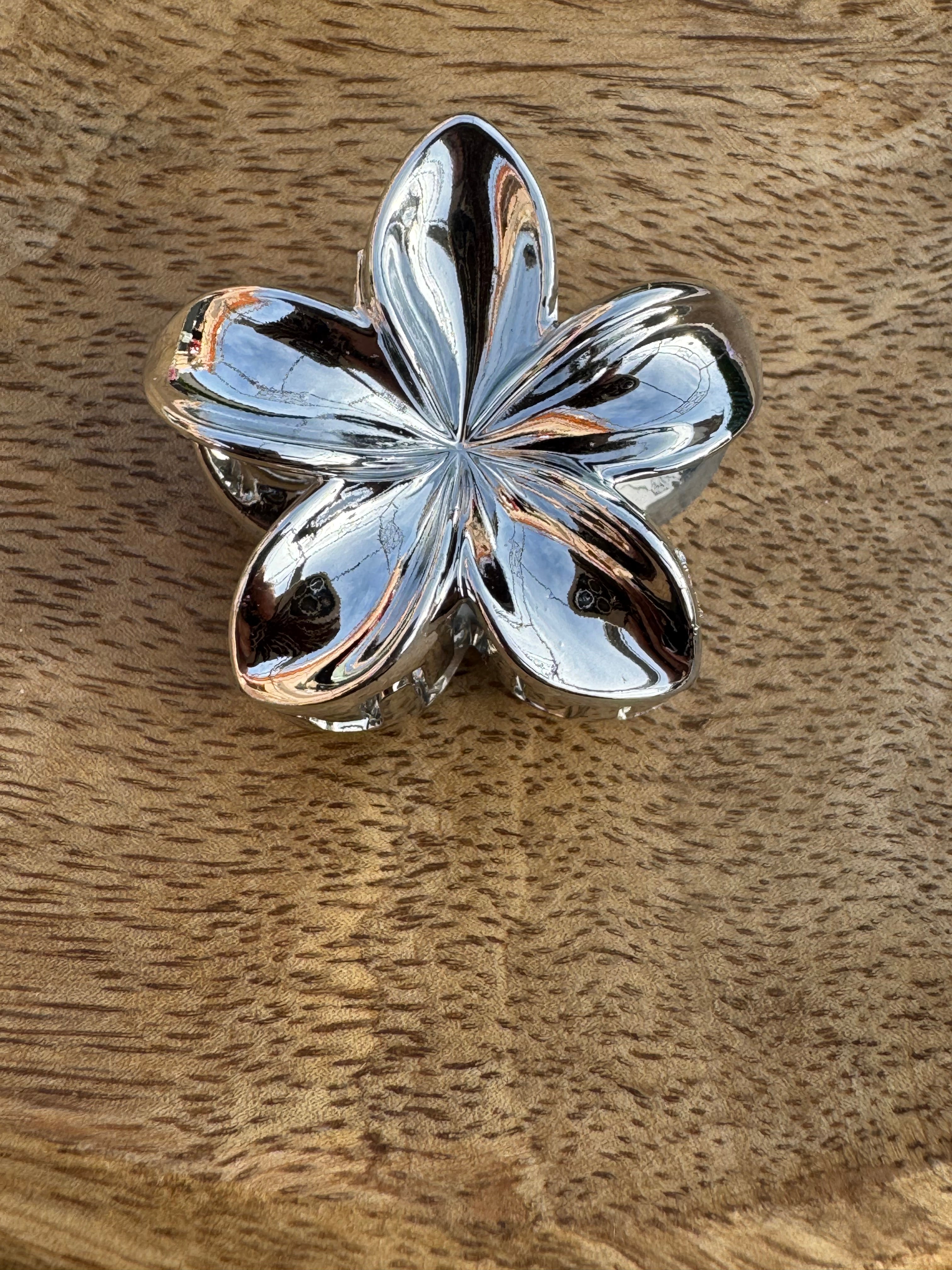 Pince à cheveux taille: (moyenne)