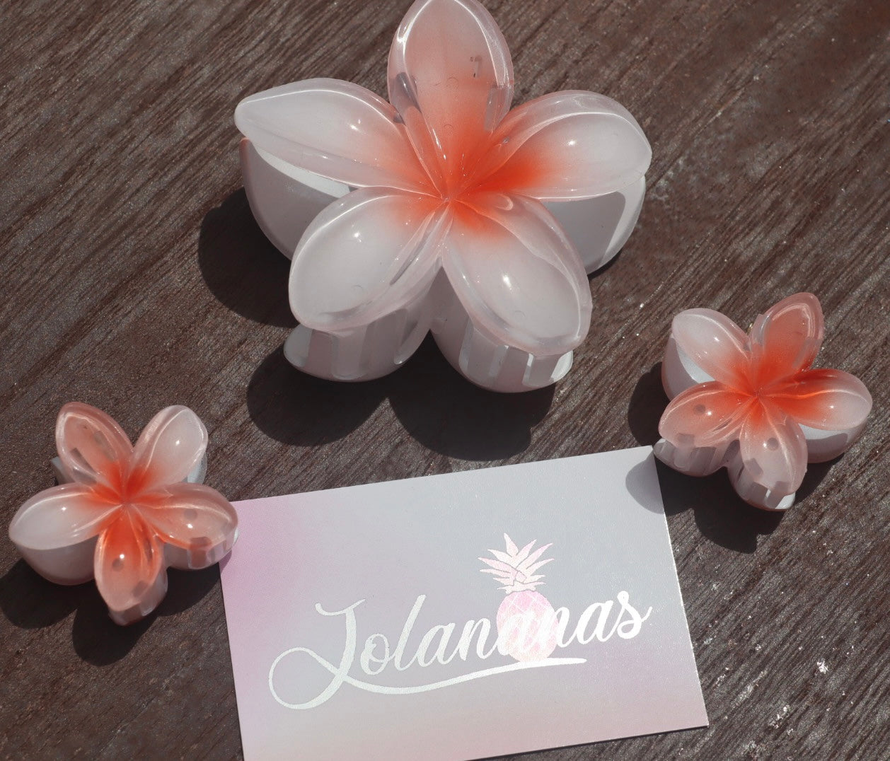 🌸 Trio de pinces fleurs